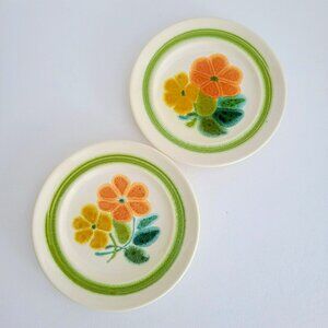 Franciscan Floral Bread Plate SET of 2, Retro c.1970s USA, Flower Power Dishes